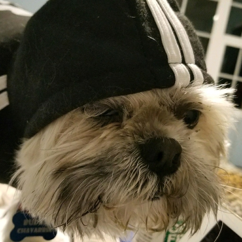 Meet your Posher, Brian